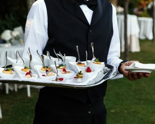 waiter-carries-plate-with-tasty-snacks_8353-1263
